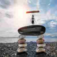 cdn智‍能﻿切﻿换﻿